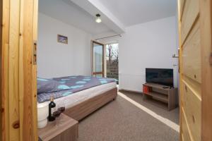 a bedroom with a bed and a tub and a television at Apartamenty Berg Karpacz in Karpacz