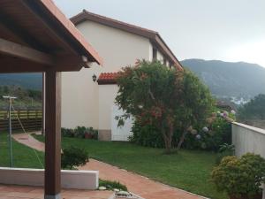 una casa con un patio verde con un árbol en Apartamentos Ramona, en Lariño