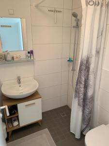 y baño con cortina de ducha y lavamanos. en 1-Zi. Apartment, Echterdingen bei Flughafen/Messe Stgt. en Leinfelden-Echterdingen