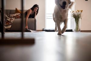 Sambucus Apartments -Premium Apartments for You and Your Dog kisállat-vendégei