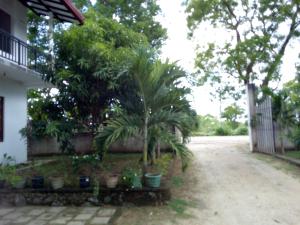 a house with two palm trees in a yard at Hotel Gayan's in Udawalawe