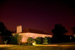 Zahrada ubytování Ribatejo Villa
