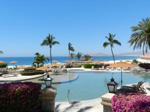 a resort swimming pool with palm trees and the ocean at Condominios La Tortuga - Ocean Front in Cabo San Lucas