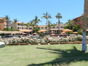 a resort with a lawn with umbrellas and palm trees at Condominios La Tortuga - Ocean Front in Cabo San Lucas