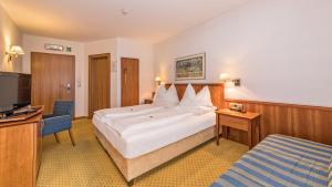 a hotel room with a large bed and a television at Hotel Millanderhof in Bressanone