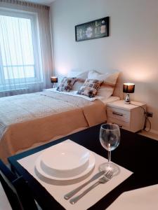 Postel nebo postele na pokoji v ubytování Vena apartment