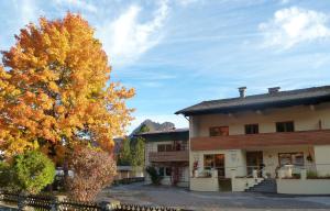 a building with a tree in front of it at Alpina Appartements in Haldensee