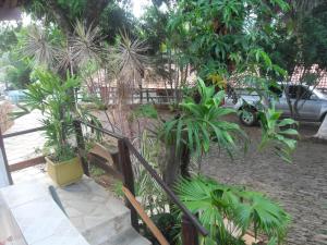 un montón de plantas en un patio con una valla en Pousada Estrela Matutina, en Pirenópolis