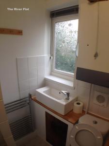 a bathroom with a sink and a toilet and a window at The River Flat in Oxford +12 photos