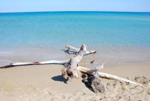 Táj Show holiday homes közelében