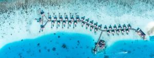 Hosté ubytování Angsana Velavaru In-Ocean Villas - Enjoy 2 pax 50 percent off seaplane and for 4 nights and above, Book Stay period from18 June to 30 Sep 2025