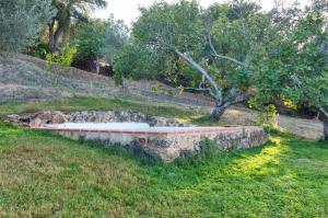 Zahrada ubytování Vivienda Rural Olivar del Chanza
