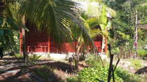 Zahrada ubytování Homestay Xóm Dừa Nước