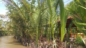 Zahrada ubytování Homestay Xóm Dừa Nước