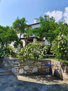 Zahrada ubytování Aeolos Hotel & Villas - Pelion
