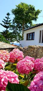 Zahrada ubytování Aeolos Hotel & Villas - Pelion