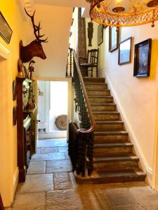 uma escada numa casa com uma cabeça de veado na parede em Lauras Townhouse Apartments Balloon Watchers Retreat em Bath