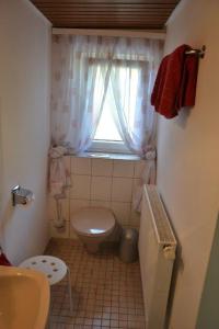 a small bathroom with a toilet and a window at Apartment Baden Baden Haus am Ibachweg in Baden-Baden +7 photos