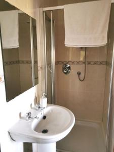 uma casa de banho com um lavatório e um chuveiro em The Tree-house B&B em Ballymena