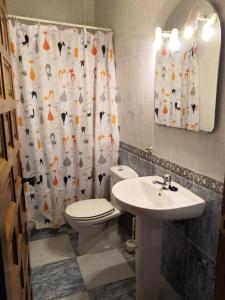 a bathroom with a toilet and a sink and a shower curtain at Hostal Restaurante Ceres in Magaz De Pisuerga