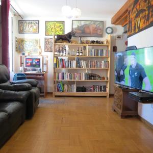 een woonkamer met een televisie en een boekenplank bij BERGAMO CENTER NICE ROOM in Bergamo