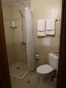 a bathroom with a toilet and a shower with towels at Hotel Puldin COOP in Plovdiv