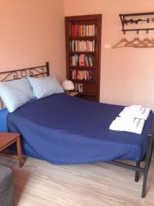 ボローニャにあるIl Giardino Nel Parco R&Bのベッドルーム(青いベッド1台、本棚付)