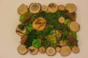 um círculo de cogumelos, musgo verde e pinhas em Agropensiunea Mara em Marisel