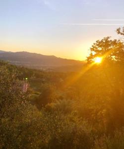 a view of the sun shining on a tree at La Trigola in Santo Stefano di Magra