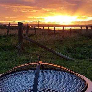 a bird sitting on top of a pool in a field at Hebrides Bothy in Swordale