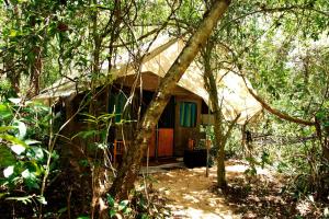 una pequeña cabaña en medio de un bosque en Explorer by Eco Team - Dambana, en Dumbana