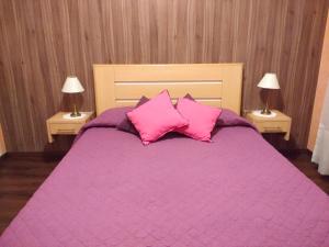 1 dormitorio con 1 cama grande con almohadas rosas en Apartamento El Colón en Buenos Aires