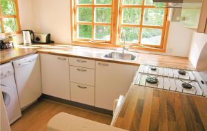 Kuchyň nebo kuchyňský kout v ubytování Holiday Home Hedelunden