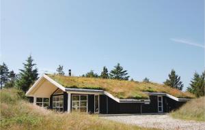 ブロックフスにあるThree-Bedroom Holiday Home In Blokhusの芝生の屋根のある建物と芝生のある建物