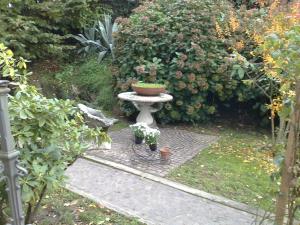 Zahrada ubytování Villa Stefy