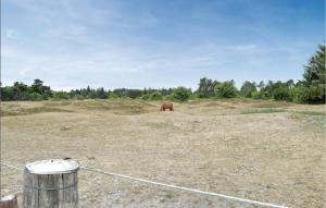 a brown horse in a field with a fence at Two-Bedroom Apartment In Romo in Rømø Kirkeby