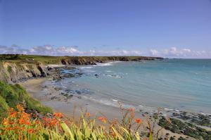 Gallery image of Beach Haven B&B in Tramore