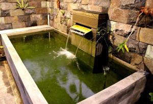 a pool of water with a water fountain at Yasa Backpackers house in Ubud