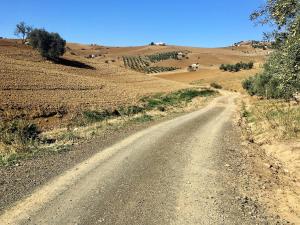 Fotografia z galérie ubytovania Finca Las Campanas II v destinácii Villanueva de la Concepción