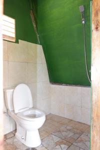 a bathroom with a toilet and a green wall at Padi Bali Jatiluwih in Tabanan