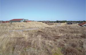 BjerregårdにあるNirisの背景の高い草原