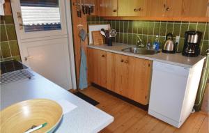 HvalpsundにあるHoliday Home Fjordparken Farsø Ivのシンクとカウンタートップのあるキッチン +6枚の写真