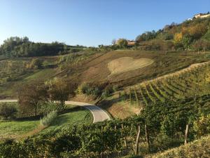 Una strada su una collina con un cuore dipinto sopra di Takápradalù a Cisterna dʼAsti