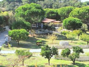 Kebun di luar Quinta do Meco - Beach & Nature