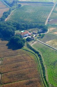 una vista aerea di una casa in mezzo a un campo di Agriturismo Le Baccane a Vinci