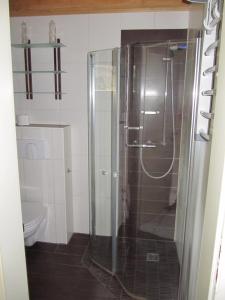 a shower with a glass door in a bathroom at Buchenweg 20a in Isenbüttel
