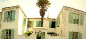 una palma di fronte a un edificio con una palma di La Maison du Palmier a La Rochelle