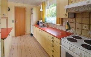 EgernsundにあるAwesome Home In Egernsund With 3 Bedroomsのキッチン(シンク、コンロ付)