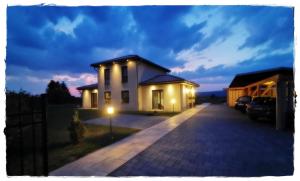 a house with a car parked in the driveway at Design Apartment Harz-Relax in Harzgerode