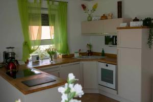 Kuchyň nebo kuchyňský kout v ubytování Design Apartment Harz-Relax